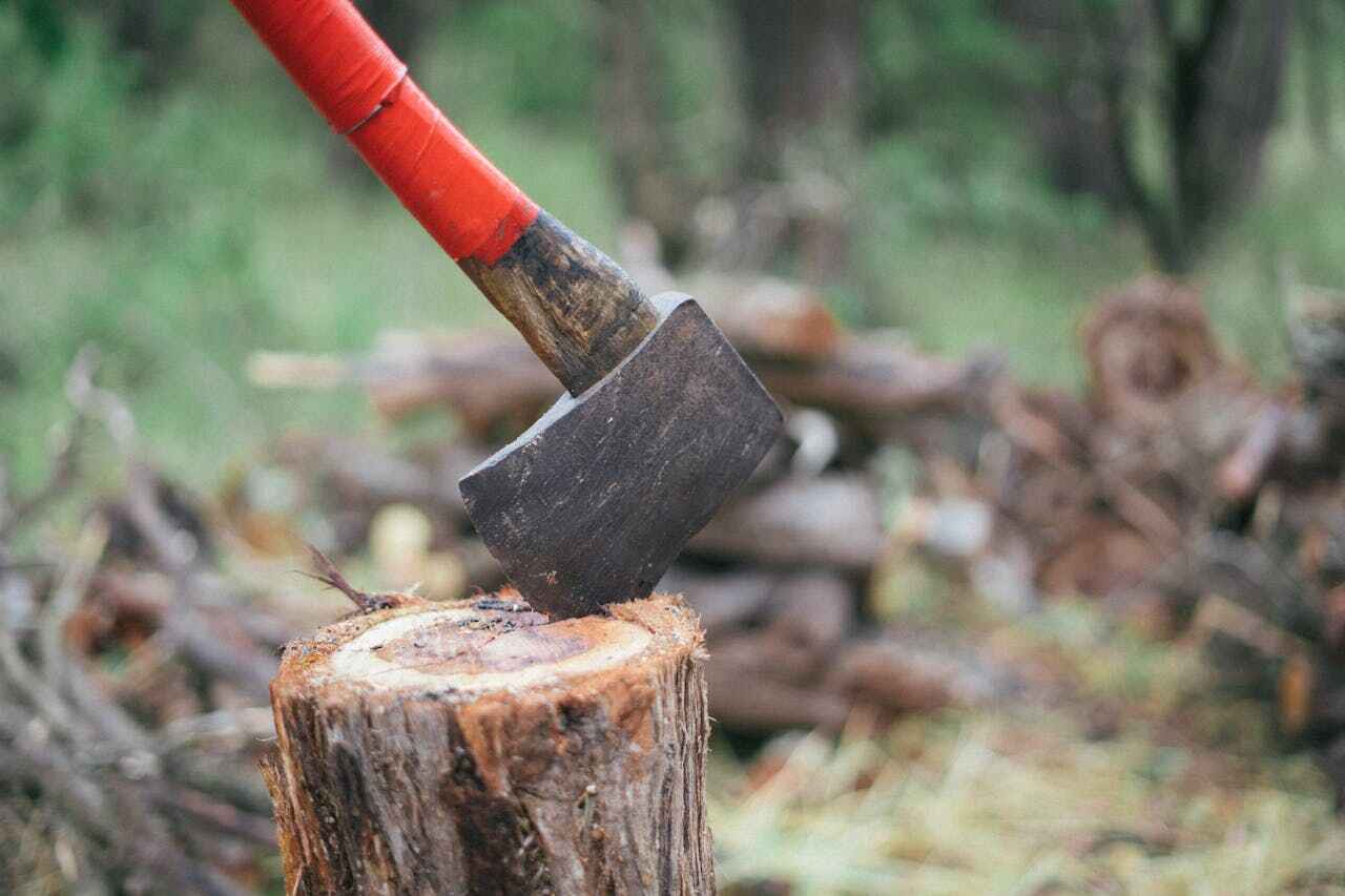 Best Tree Clearing Services  in USA